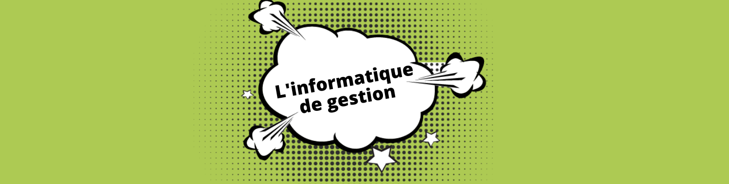 Qu’est-ce que l’informatique de gestion ?