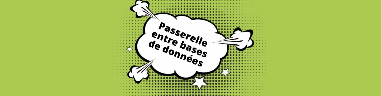 passerelle entre bases de donnees