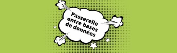 passerelle entre bases de donnees