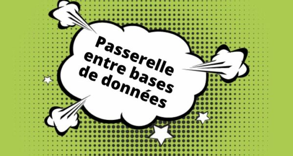 passerelle entre bases de donnees